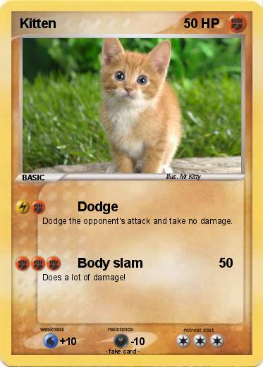 Pokemon Kitten