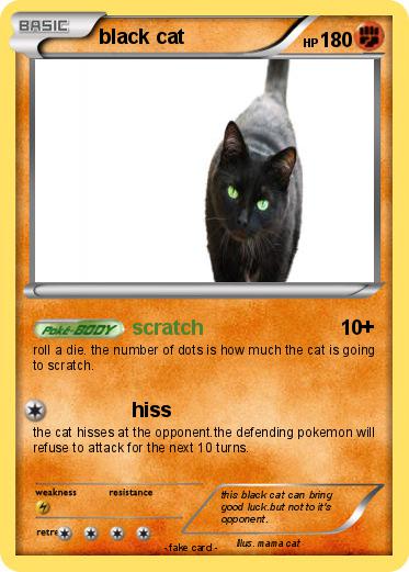 Pokemon black cat