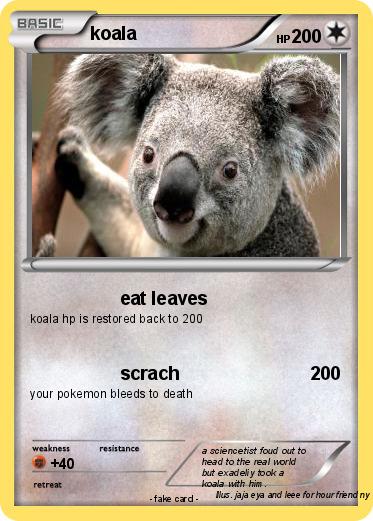 Pokemon koala
