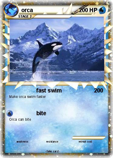 Pokemon orca