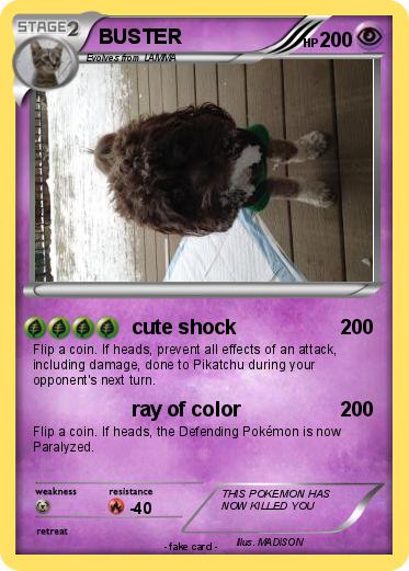 Pokemon BUSTER