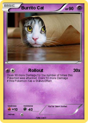 Pokemon Burrito Cat