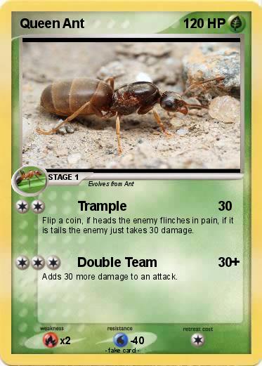 Pokemon Queen Ant