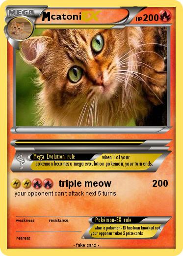 Pokemon catoni