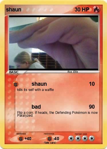 Pokemon shaun