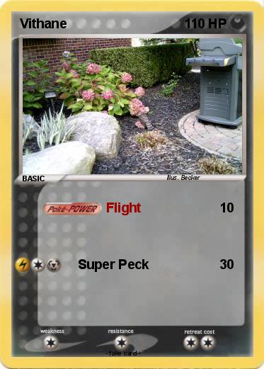 Pokemon Vithane