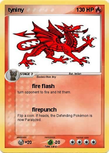 Pokemon tyniny