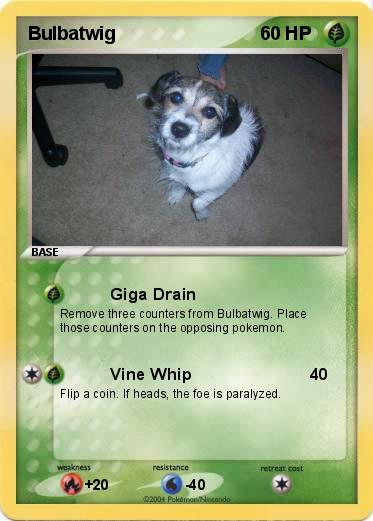 Pokemon Bulbatwig