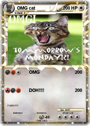 Pokemon OMG cat