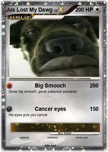 Pokemon Jus Lost My Dawg