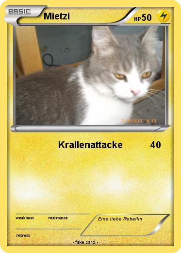 Pokemon Mietzi