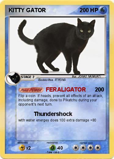 Pokemon KITTY GATOR