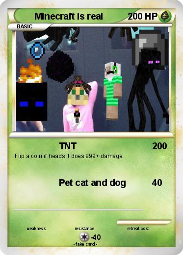 Pokemon Minecraft is real