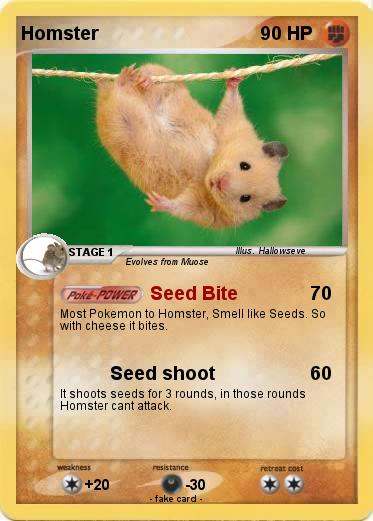 Pokemon Homster
