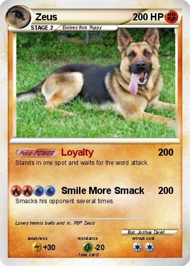 Pokemon Zeus