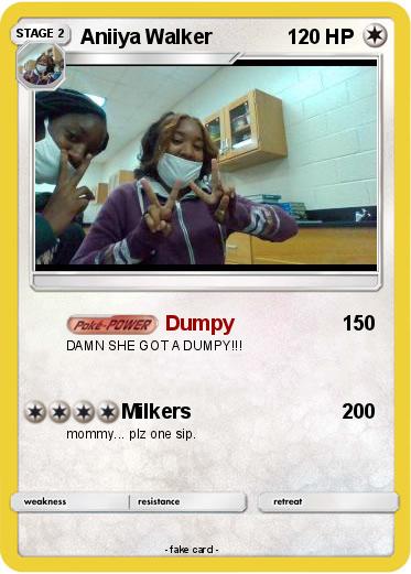 Pokemon Aniiya Walker