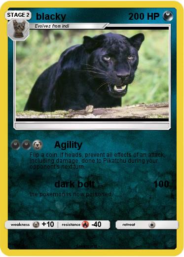 Pokemon blacky