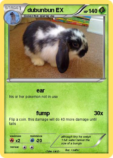 Pokemon dubunbun EX