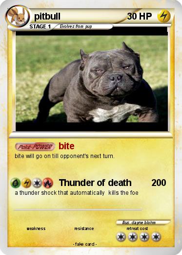 Pokemon pitbull