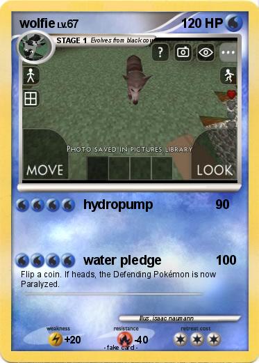 Pokemon wolfie