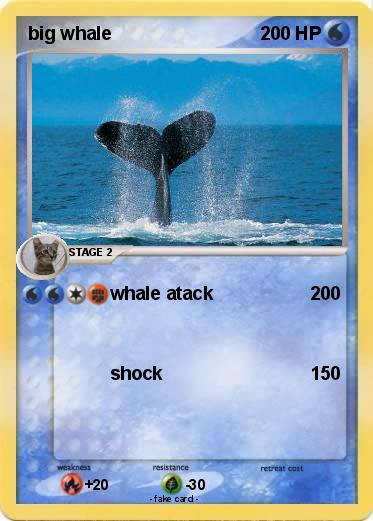 Pokemon big whale