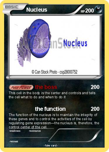 Pokemon Nucleus