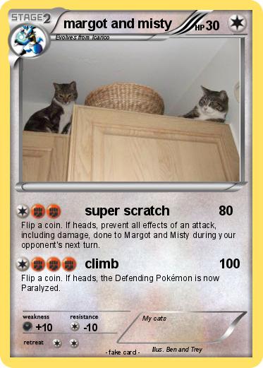 Pokemon margot and misty