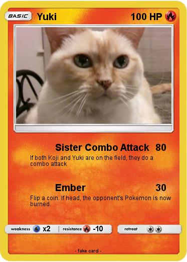 Pokemon Yuki
