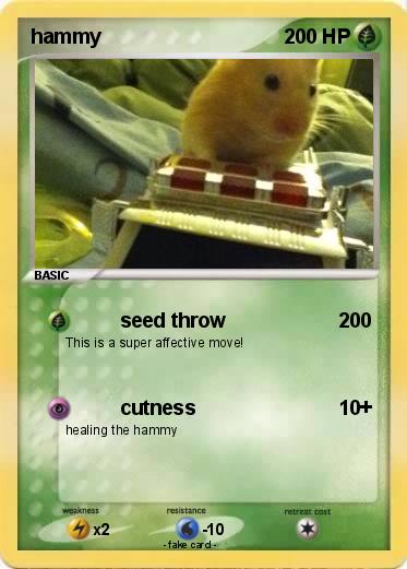 Pokemon hammy