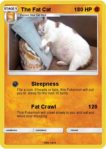 Pokemon The Fat Cat