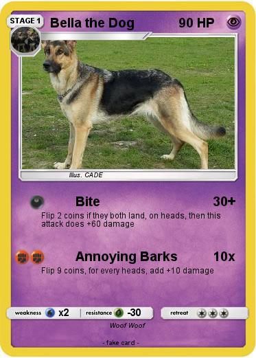 Pokemon Bella the Dog