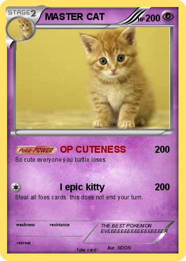 Pokemon MASTER CAT