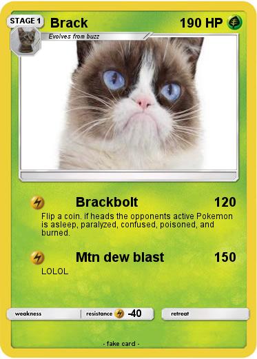 Pokemon Brack