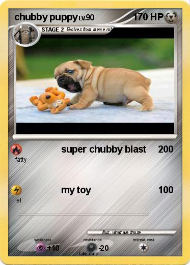 Pokemon chubby puppy