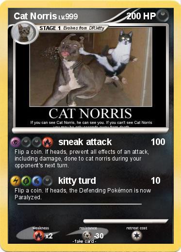 Pokemon Cat Norris
