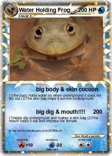 Pokemon Water Holding Frog