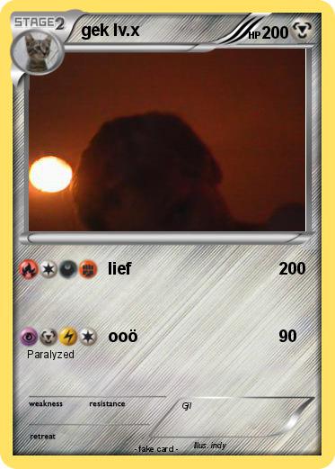 Pokemon gek lv.x