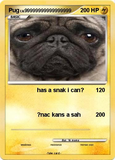 Pokemon Pug