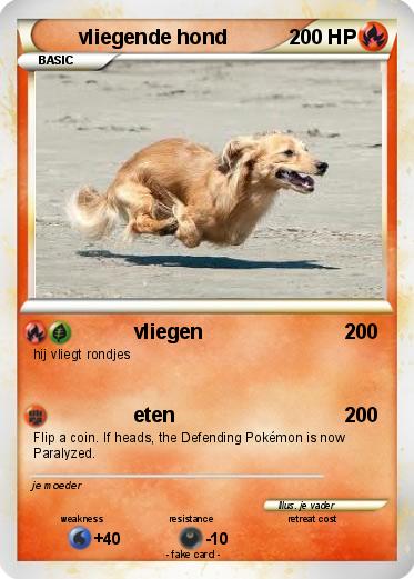 Pokemon vliegende hond