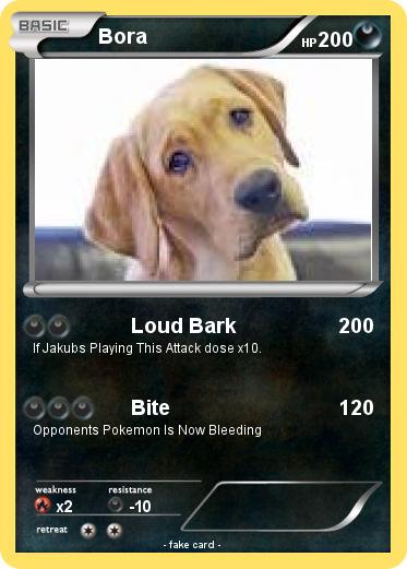Pokemon Bora