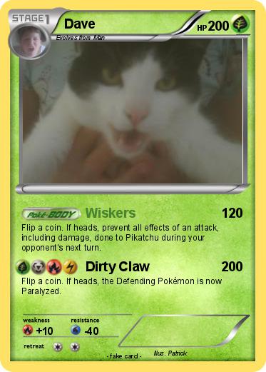 Pokemon Dave