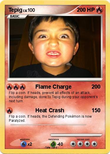 Pokemon Tepig