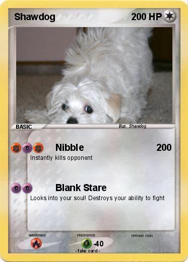 Pokemon Shawdog