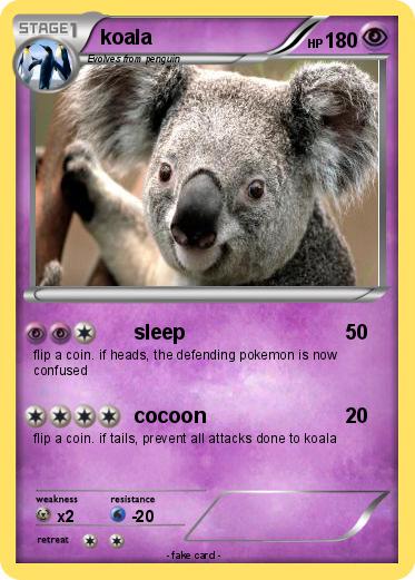 Pokemon koala