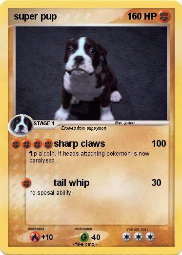 Pokemon super pup