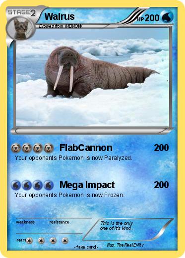 Pokemon Walrus