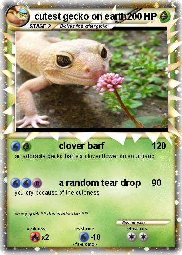 Pokemon cutest gecko on earth