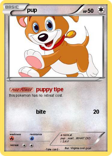 Pokemon pup