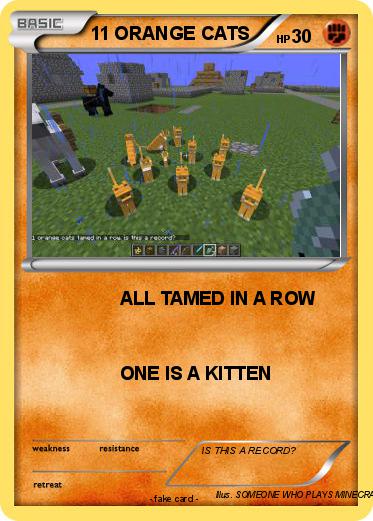 Pokemon 11 ORANGE CATS