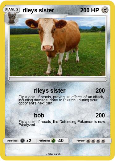 Pokemon rileys sister